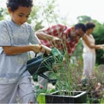 Aetna Foundation