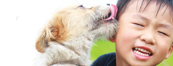 Photograph of child with dog.