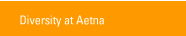 Diversity at Aetna