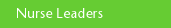 Nurse Leaders