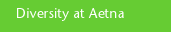Diversity at Aetna
