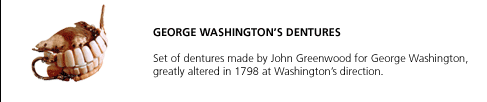 George Washington's Dentures. Set of dentures made by John Greenwood for George Washington, greatly altered in 1798 at Washington's direction.