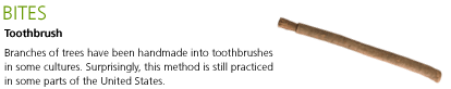 Bites: Toothbrush. Branches of trees have been handmade into toothbrushes in some cultures. Surprisingly, this method is still practiced in some parts of the United States.