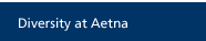 Diversity at Aetna