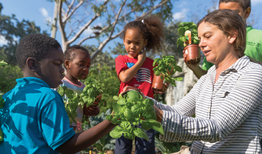 Jack and Jill planting